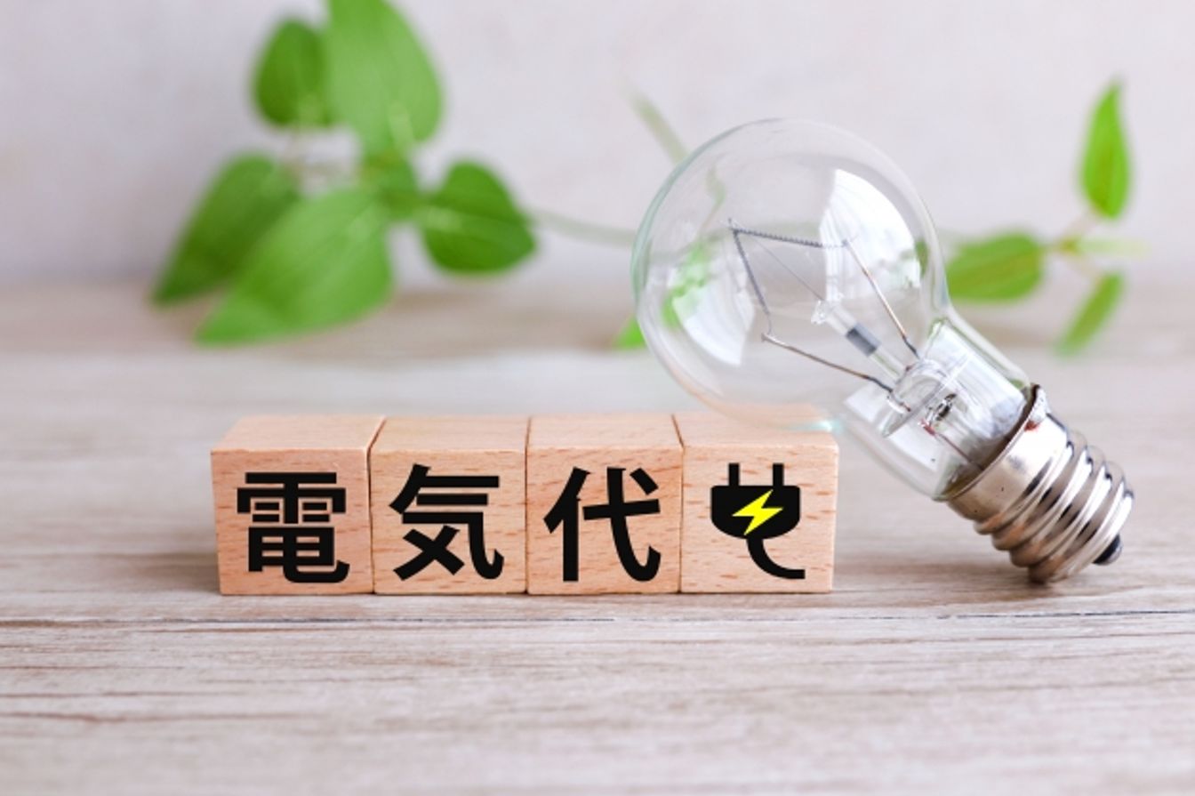 【完全従量制】使った分だけ払う電気代、これが令和の節約の正解だった！